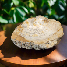 Petrified wood bowl