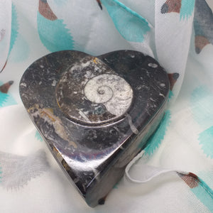 Ammonite Fossil Heart Shaped Box